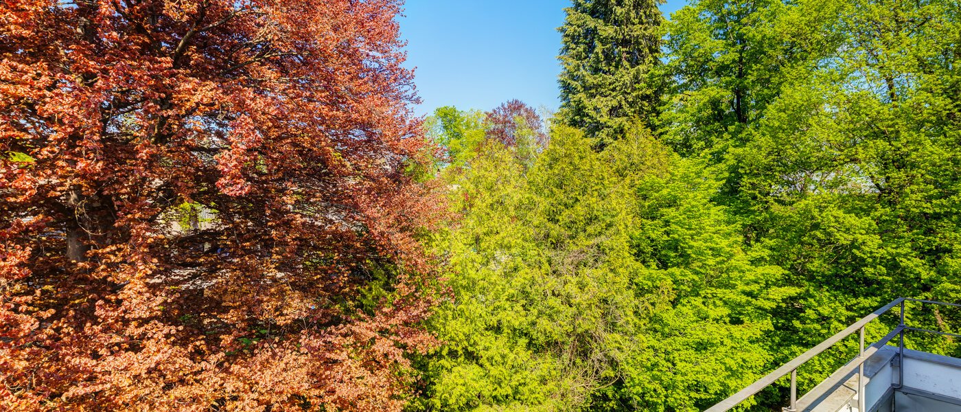 옥상 테라스 플랫 München Solln 04 보기 14396