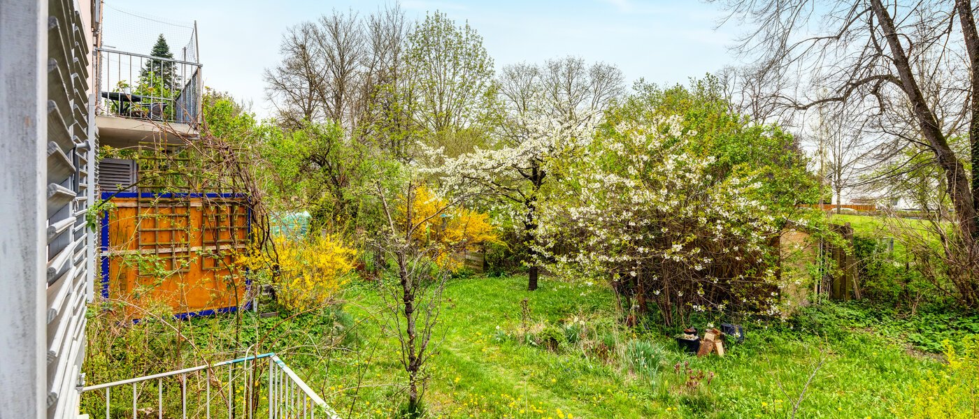 Lapos Germering 01 A  megtekintése 14418