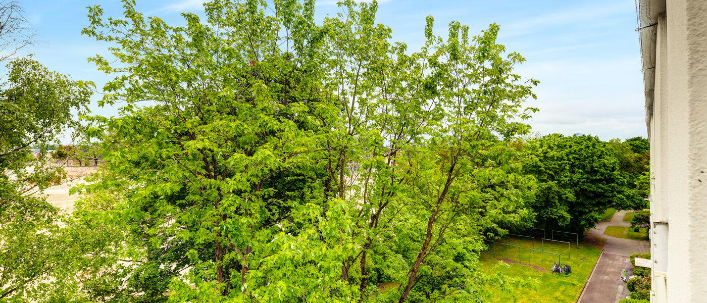 Düz München Freimann 03 Görünüm 14434