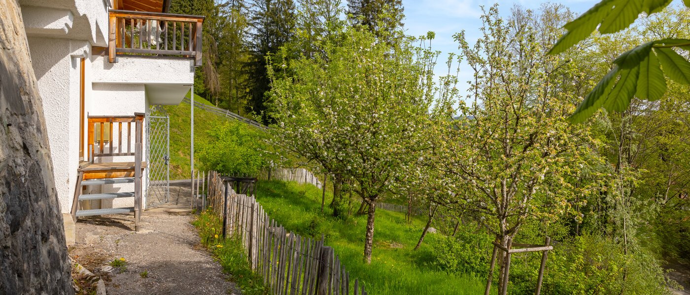 Villa Bad Wiessee 04 Hage 14436