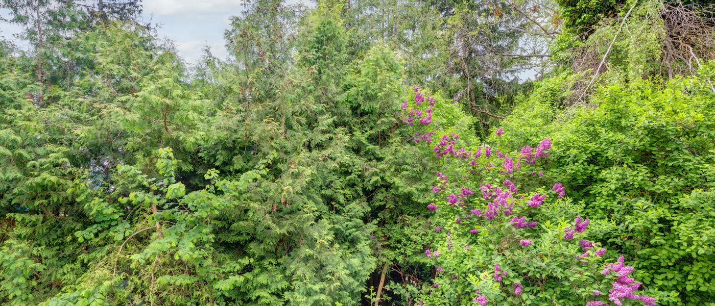 Flad München Thalkirchen 01 Udsigt 14439