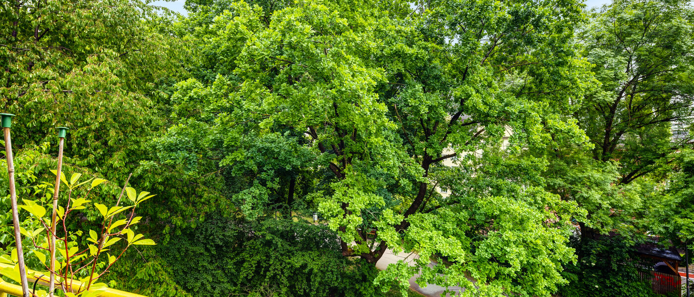 Plat München Sendling 01 Bekijk 14453