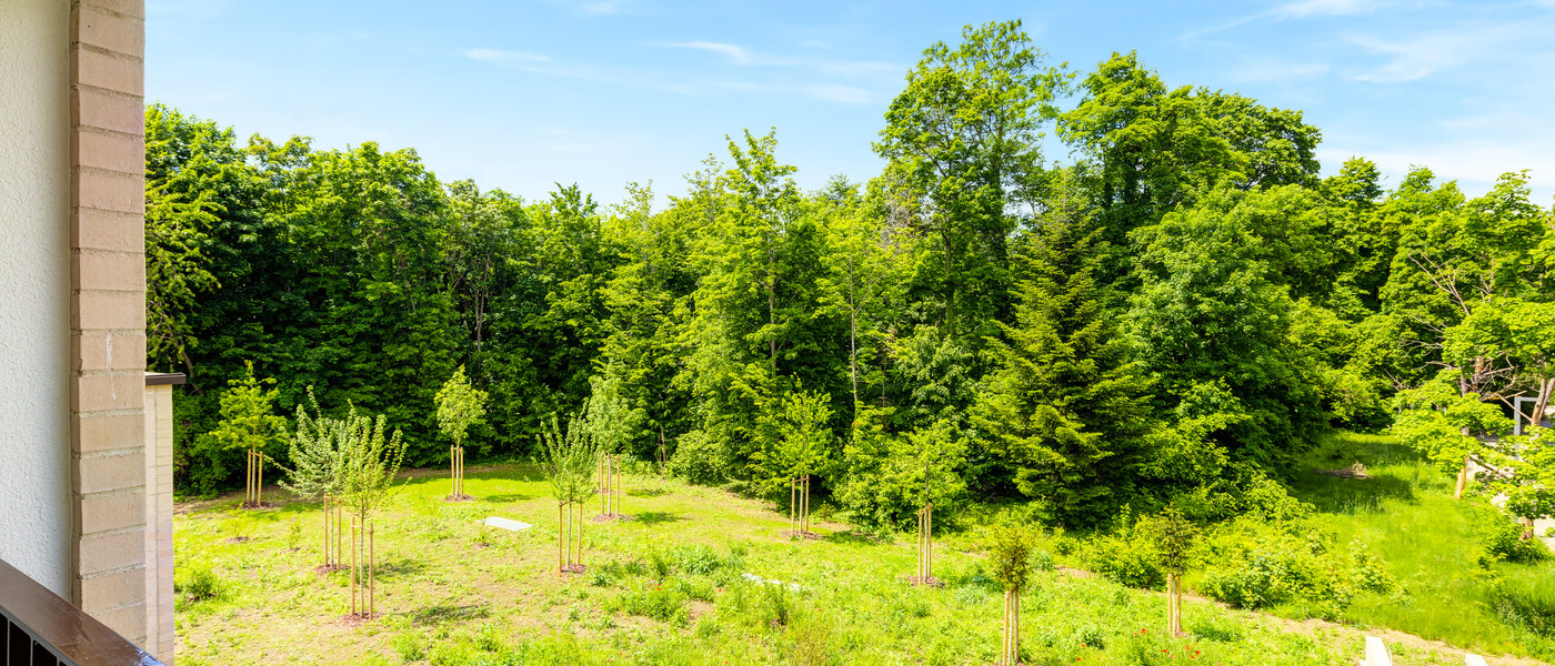 Plano Haar 01 Ver 14460