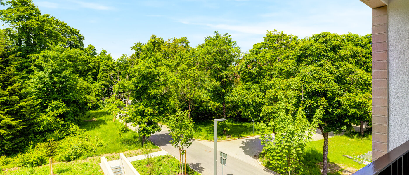 Plano Haar 02 Ver 14460