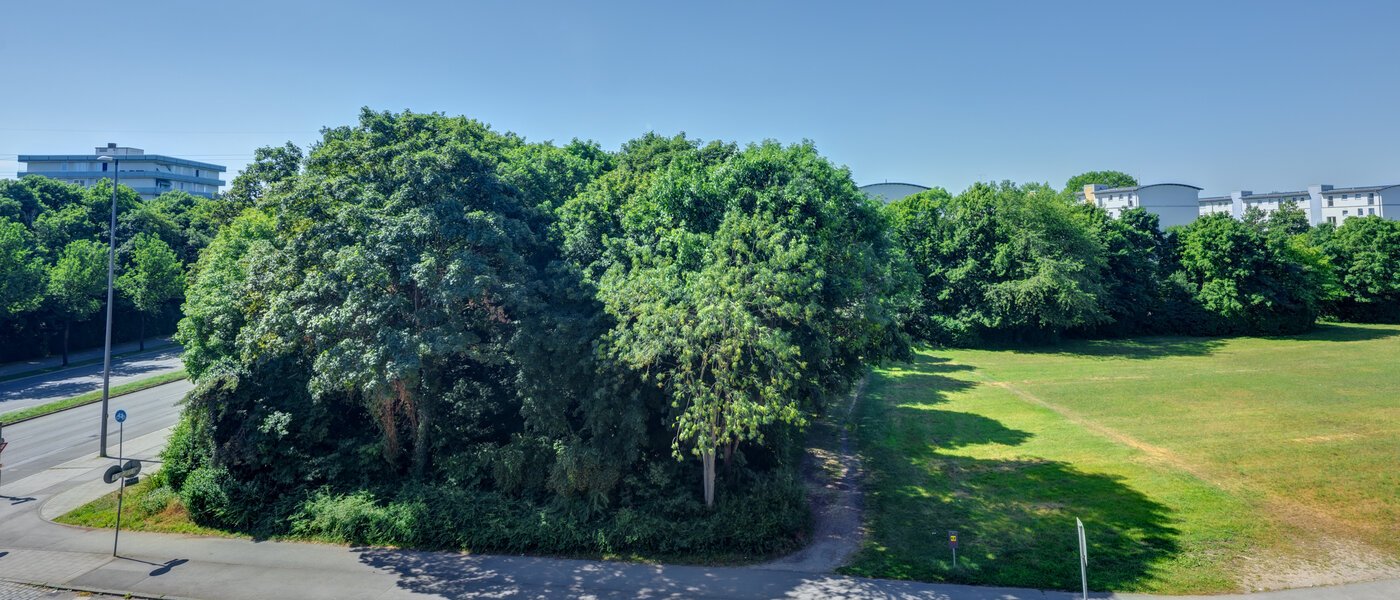 Plat München Am Hart 01 Vizualizare 14506