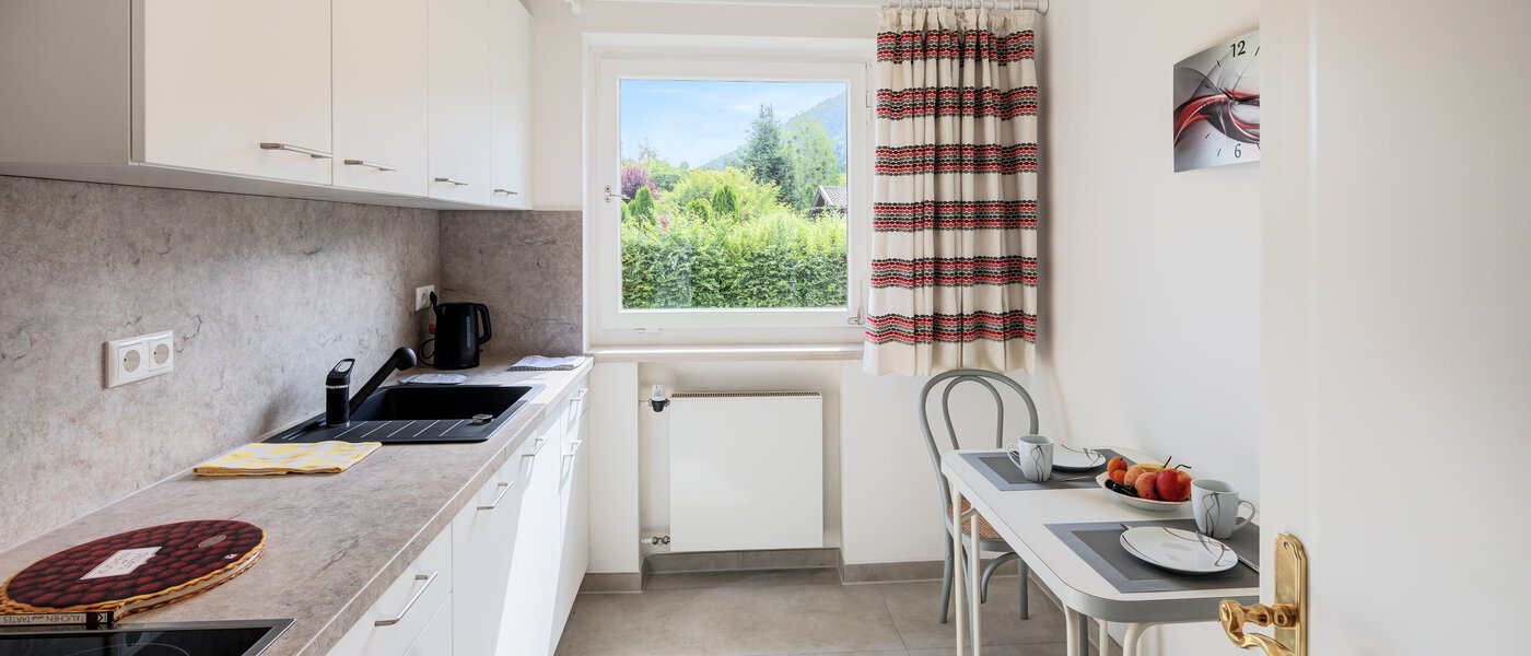 Επίπεδη Gmund am Tegernsee 01 Κουζίνα 14513