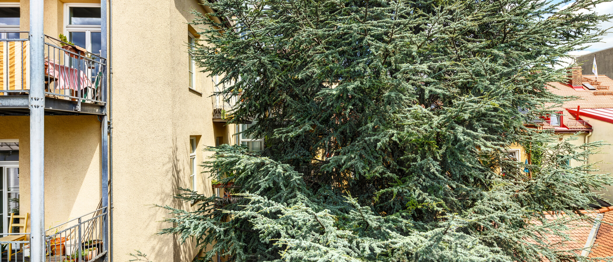 Lapos München Neuhausen 02 A  megtekintése 14523