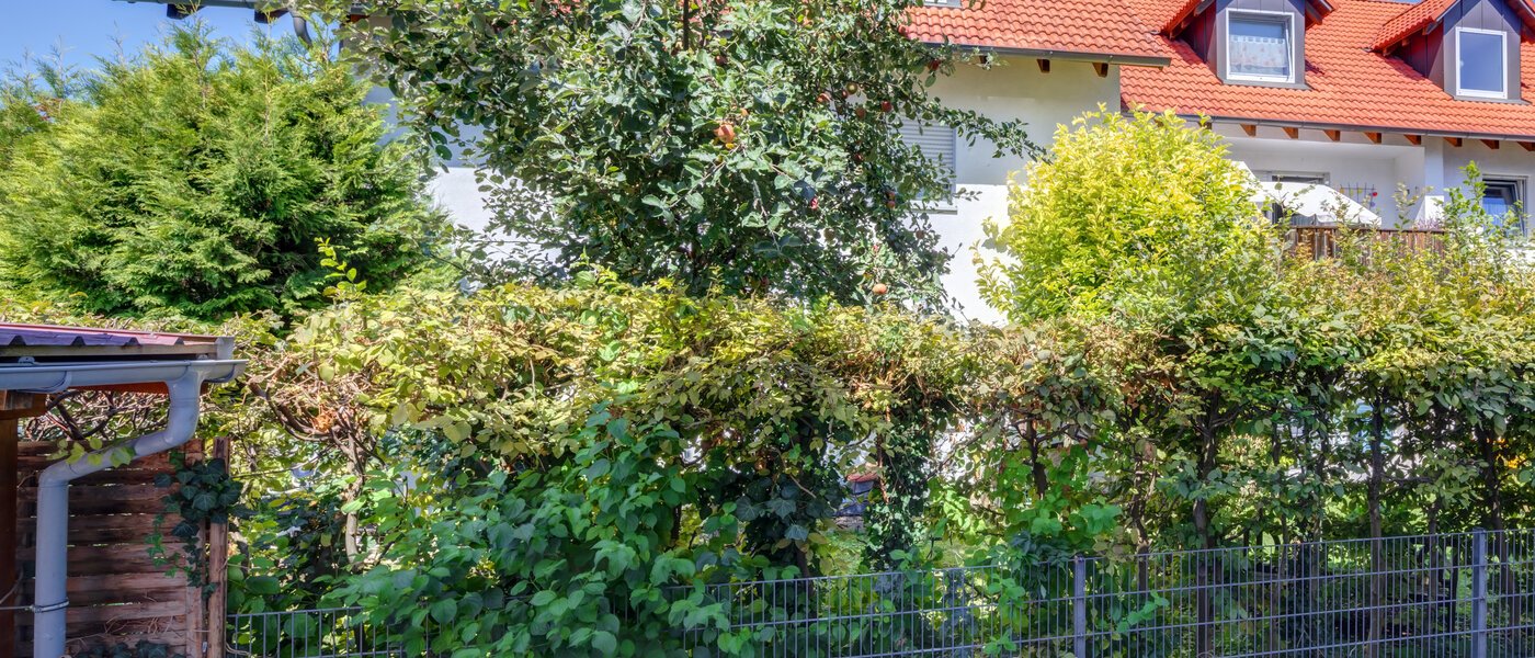 Ploché Neufahrn b. Freising 01 Zobrazit 14560