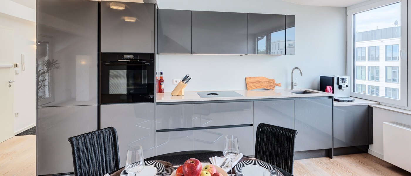 Mansardă plată München Maxvorstadt 01 Bucătărie 14568