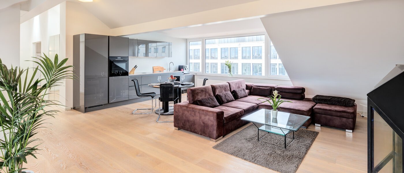 Mansardă plată München Maxvorstadt 01 Zona de zi 14568