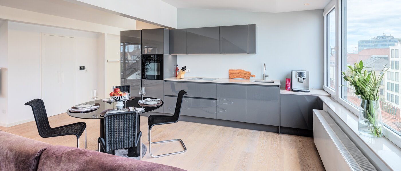 Mansardă plată München Maxvorstadt 05 Zona de zi 14568