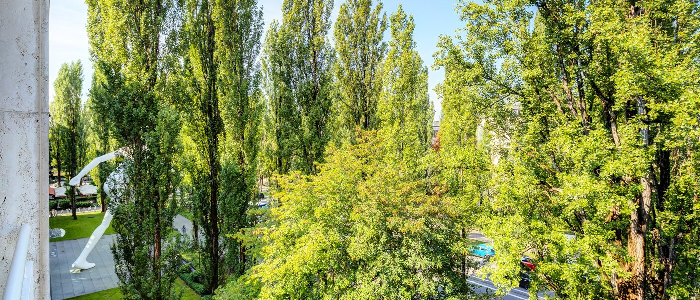 Ploché München Schwabing (rechts der Leopoldstraße) 02 Zobraziť 14569
