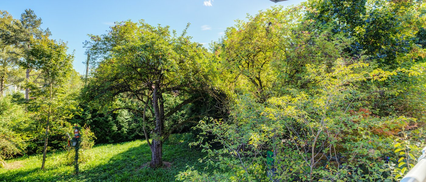 Διαμέρισμα μεζονέτας Gröbenzell 04 Προβολή 14575
