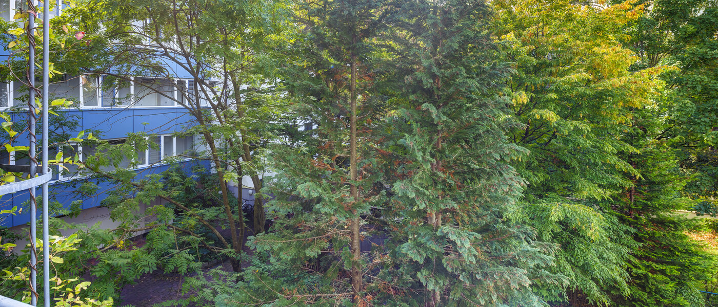 Επίπεδη München Obergiesing 01 Προβολή 14597