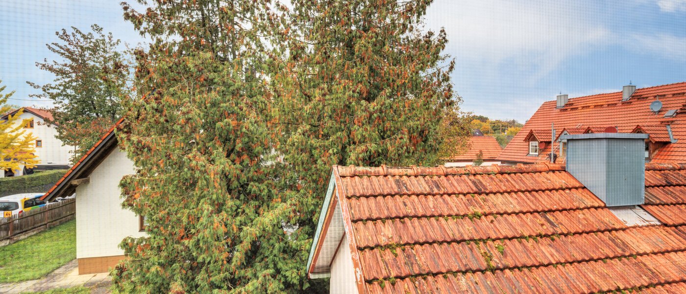 Samostatne stojaci dom Ismaning 02 Zobraziť 14615