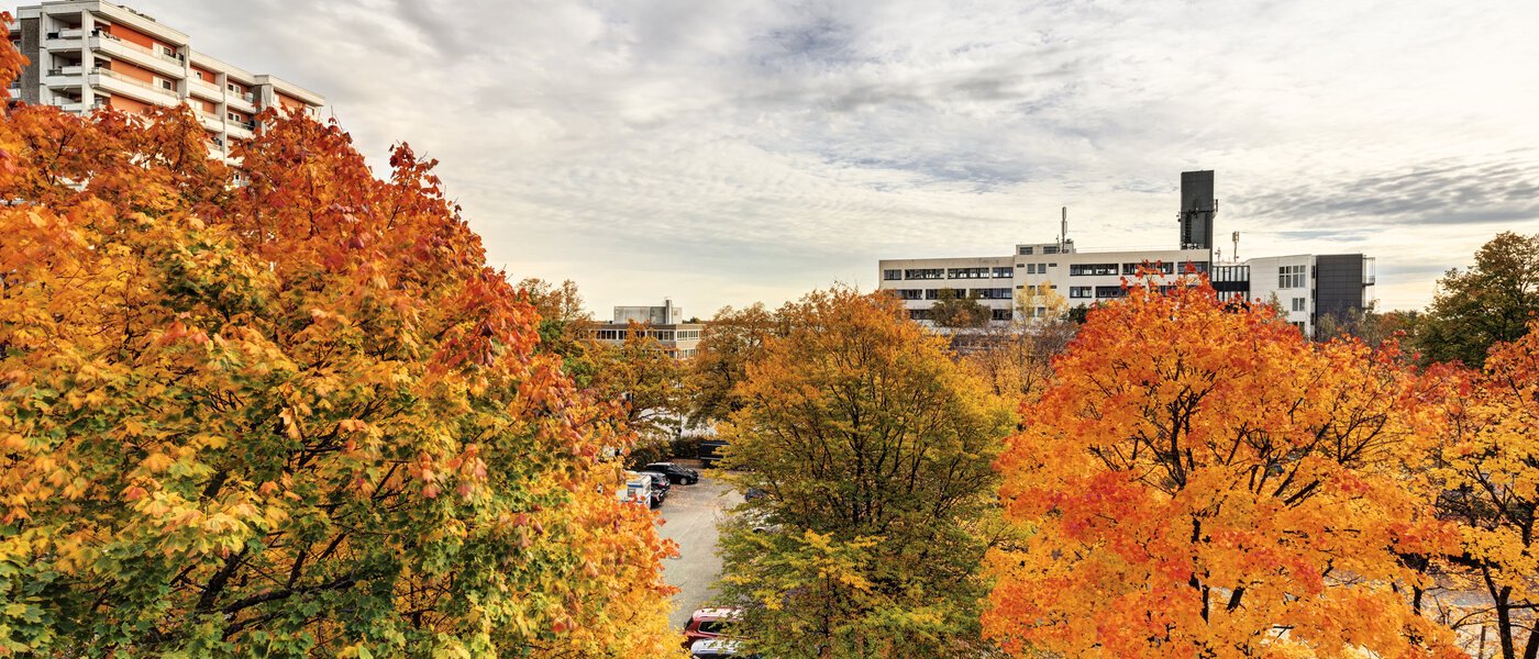 Ploché Taufkirchen 01 Zobraziť 14620