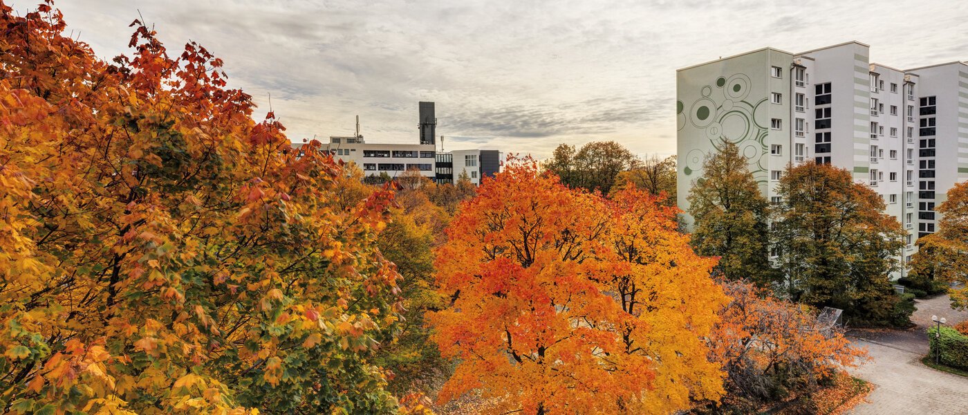 Ploché Taufkirchen 02 Zobraziť 14620