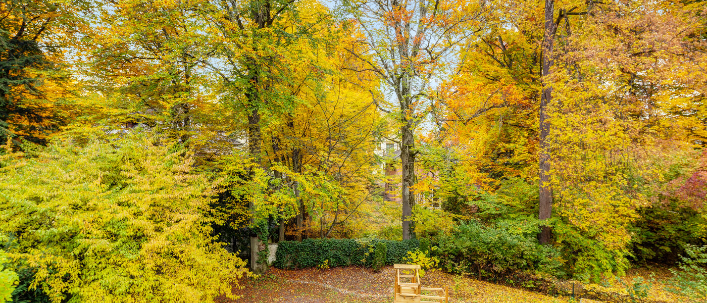 Ravna stran München Harlaching 02 Oglejte si 14629