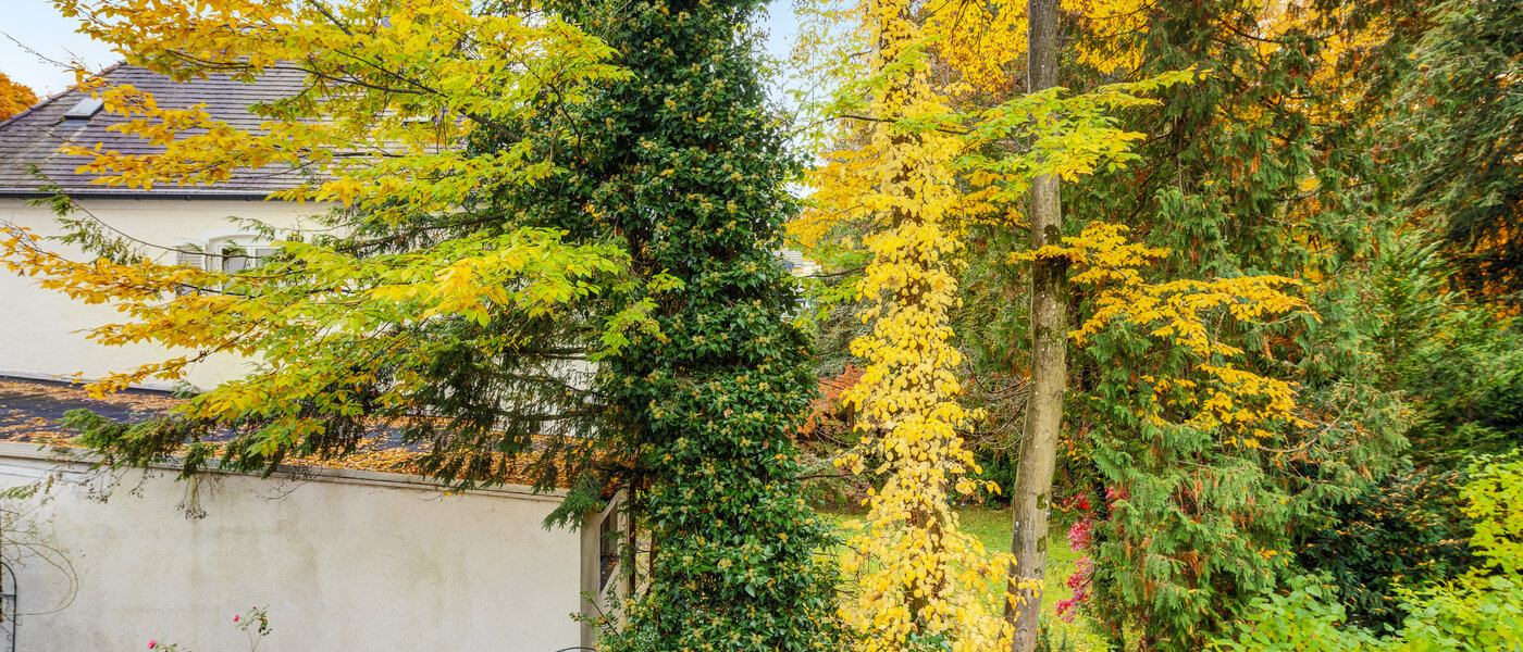 Ravna stran München Harlaching 03 Oglejte si 14629