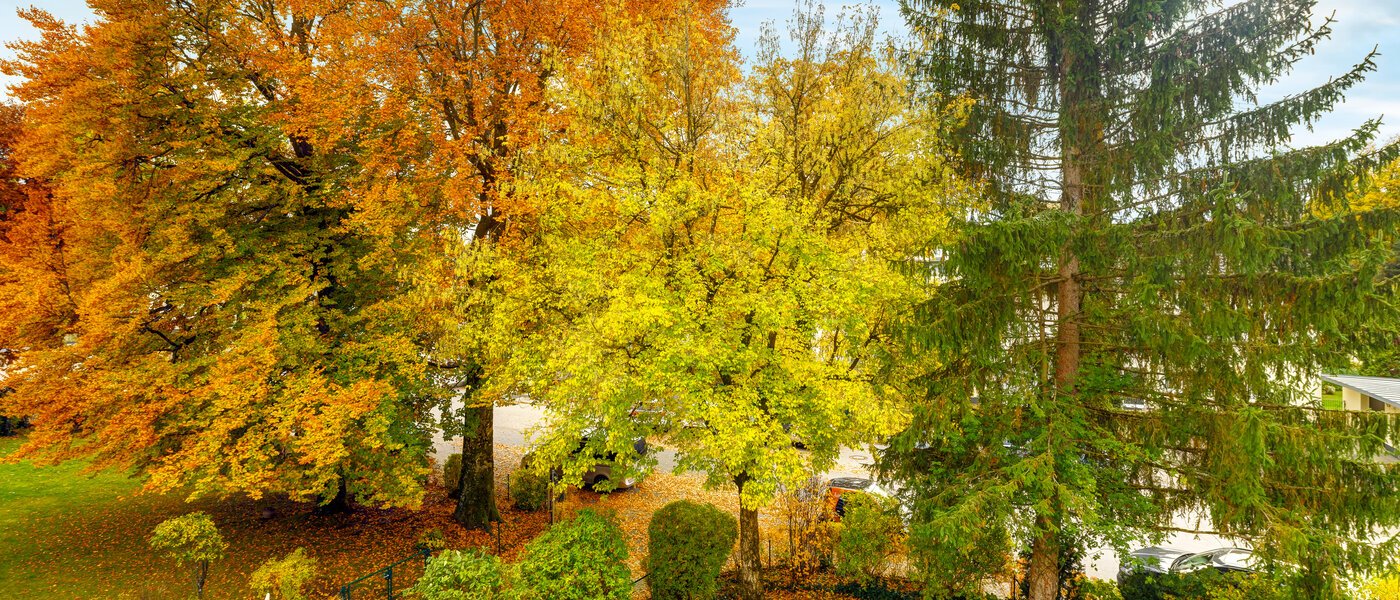 Platt Grünwald 01 Utsikt 14631