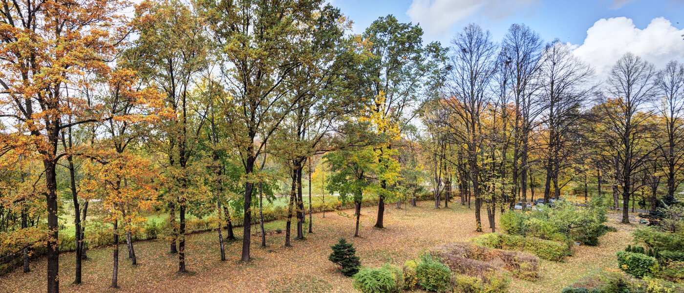 Flat München Bogenhausen 01 Utsikt 14639