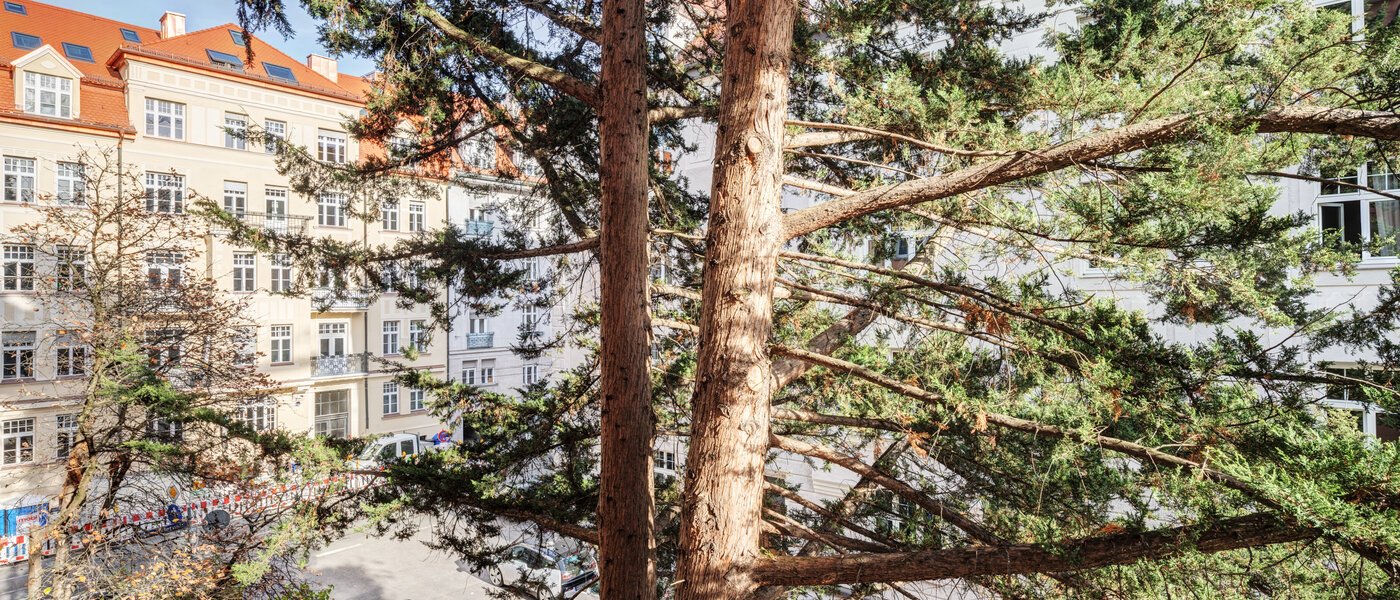 Plano München Schwabing-West 02 Ver 14646