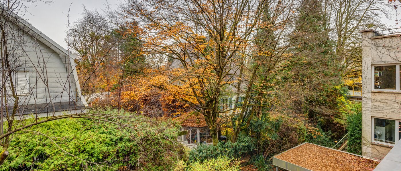 Plat München Nymphenburg 01 Vizualizare 14655