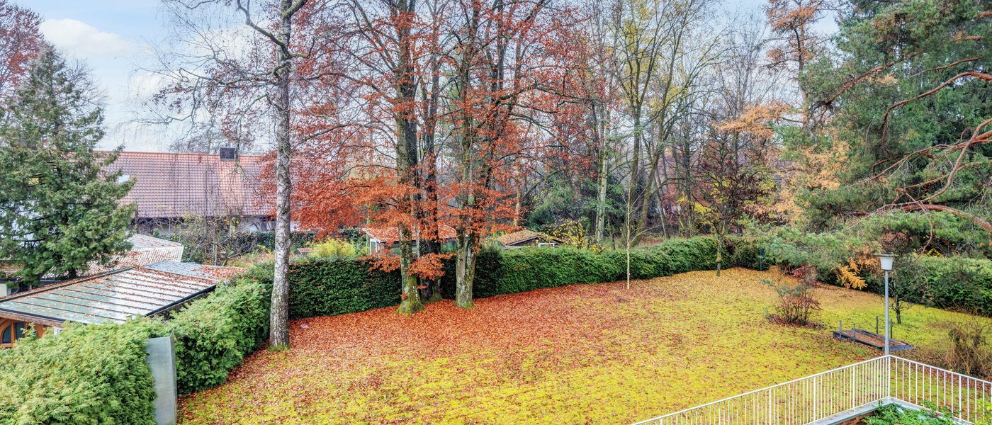 Plat München Fasangarten 01 Vizualizare 14668