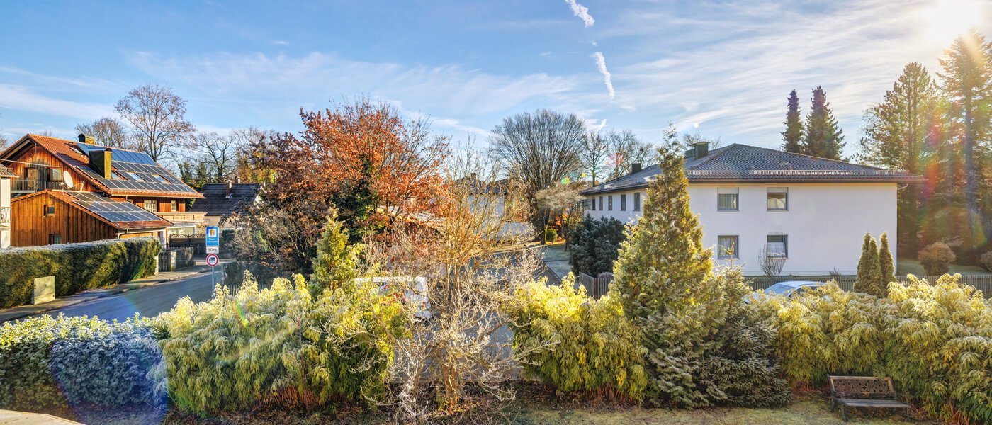 Ravna stran Haar 01 Oglejte si 14685