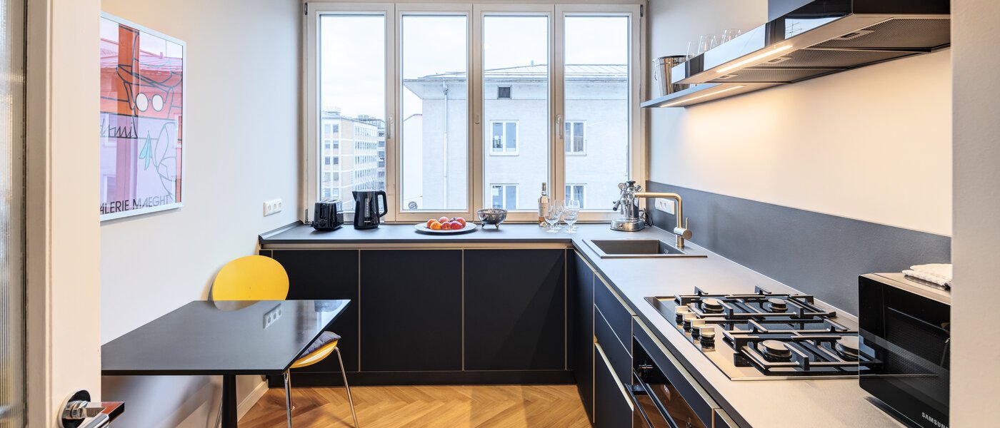 Επίπεδη München Maxvorstadt - Universitätsviertel 01 Κουζίνα 14693