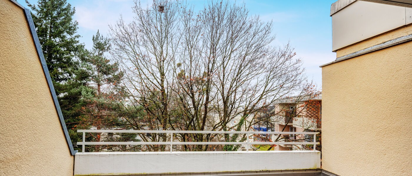 Dakterras appartement München Nymphenburg 02 1e dakterras 14694