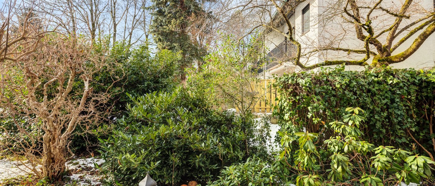 Lapos München Forstenried 01 A  megtekintése 14715