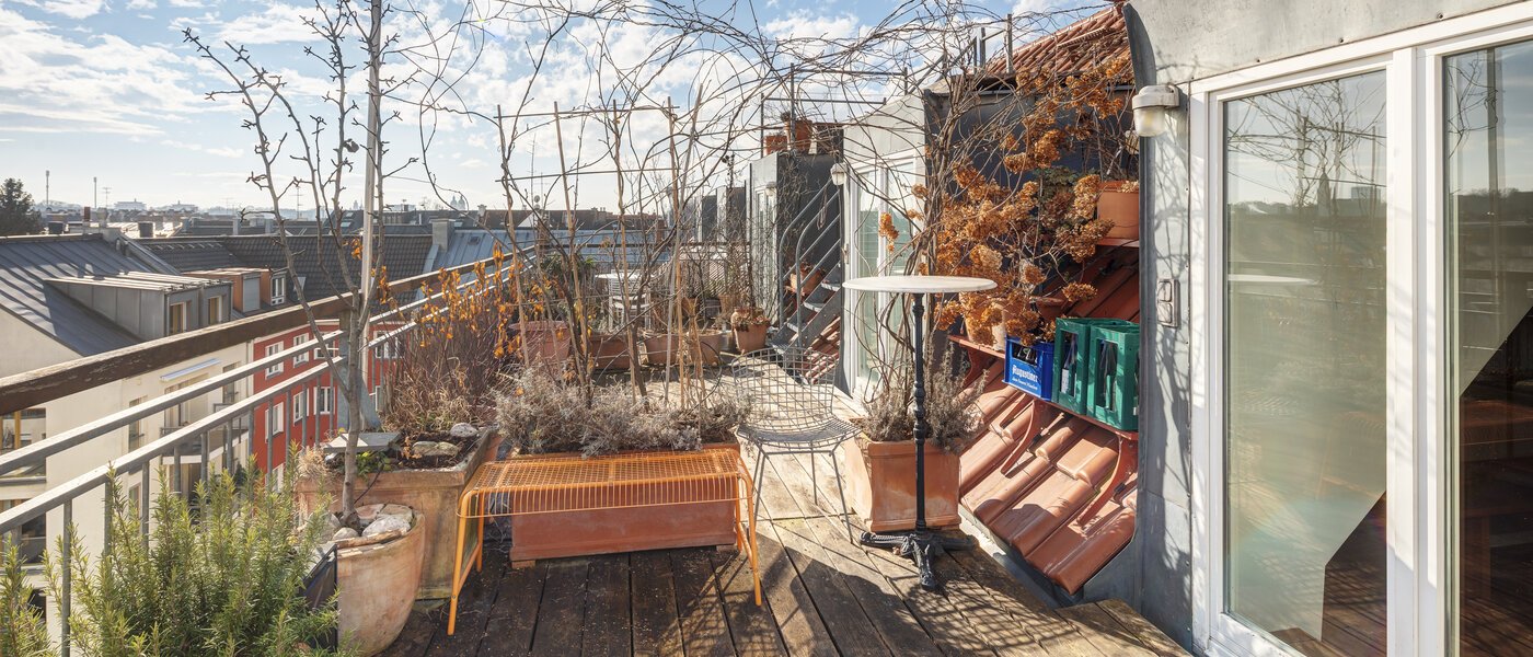 Dakterras appartement München Haidhausen 03 Dakterras 14748