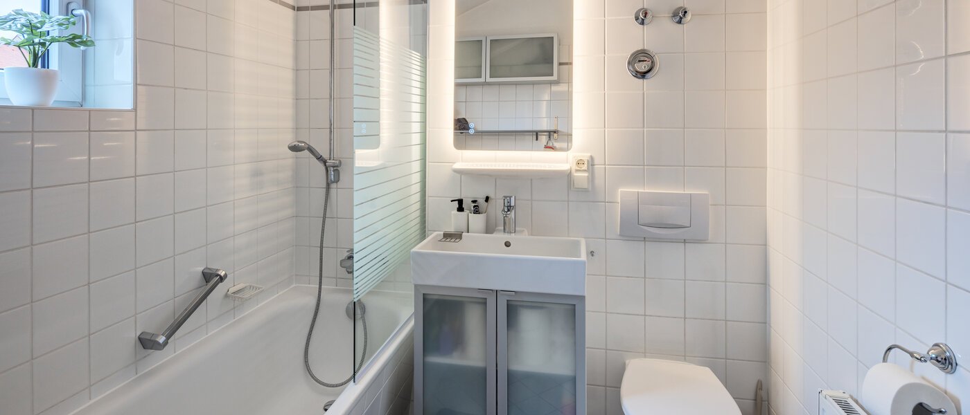 Stanovanje s strešno teraso München Maxvorstadt 02 Kopalnica 14758