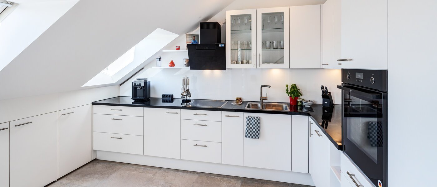 Дворівнева квартира-галерея München Maxvorstadt 01 Кухня 14785