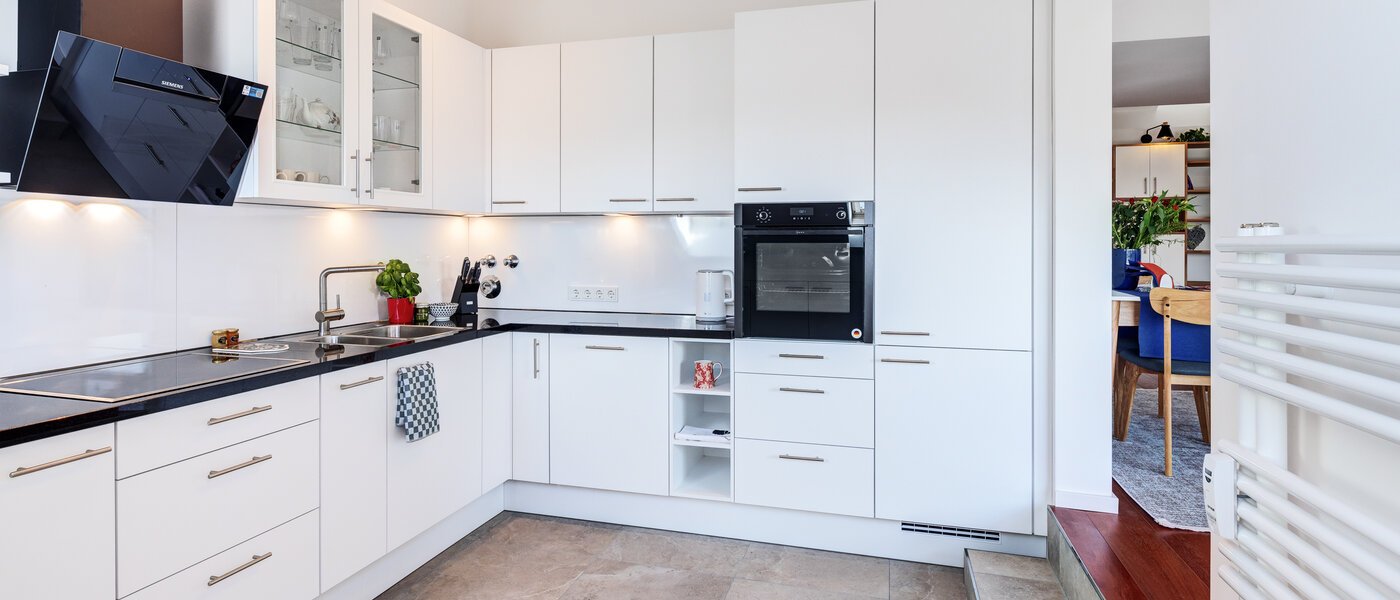 Дворівнева квартира-галерея München Maxvorstadt 03 Кухня 14785