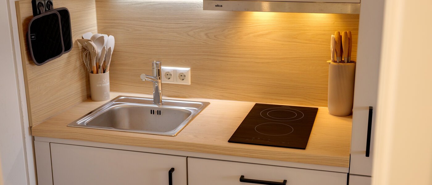 Płaski München Maxvorstadt 02 Kuchnia 14791