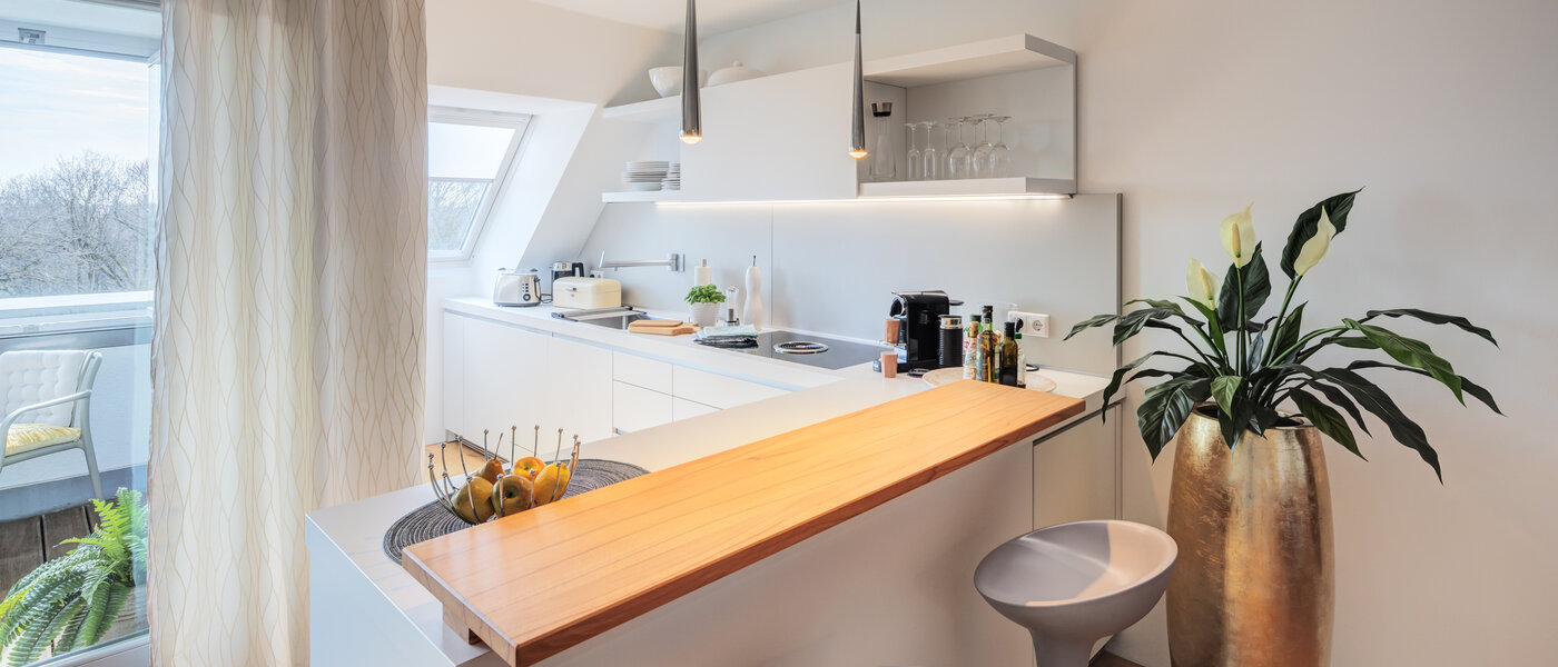 Мансардна квартира München Ludwigsvorstadt 01 Кухня 14803