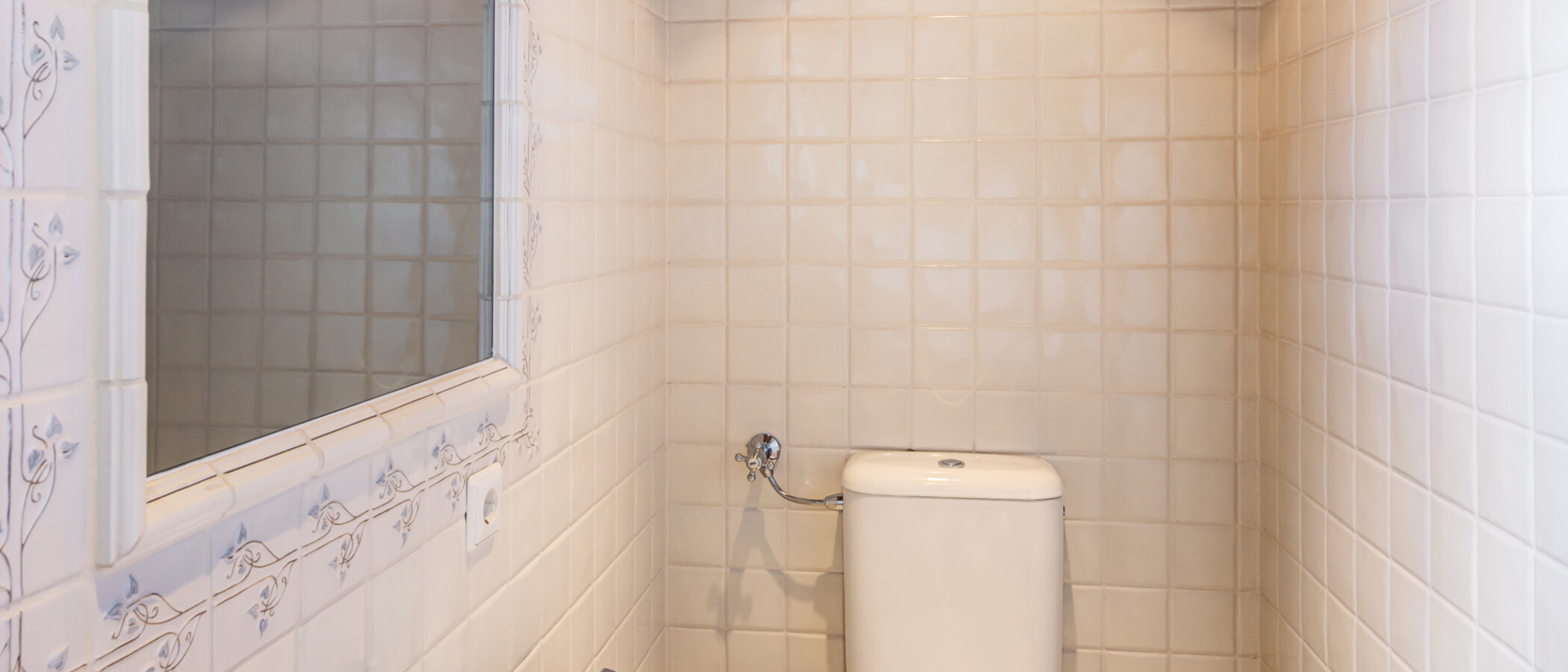 Düz Tegernsee 01 Misafir WC 14851