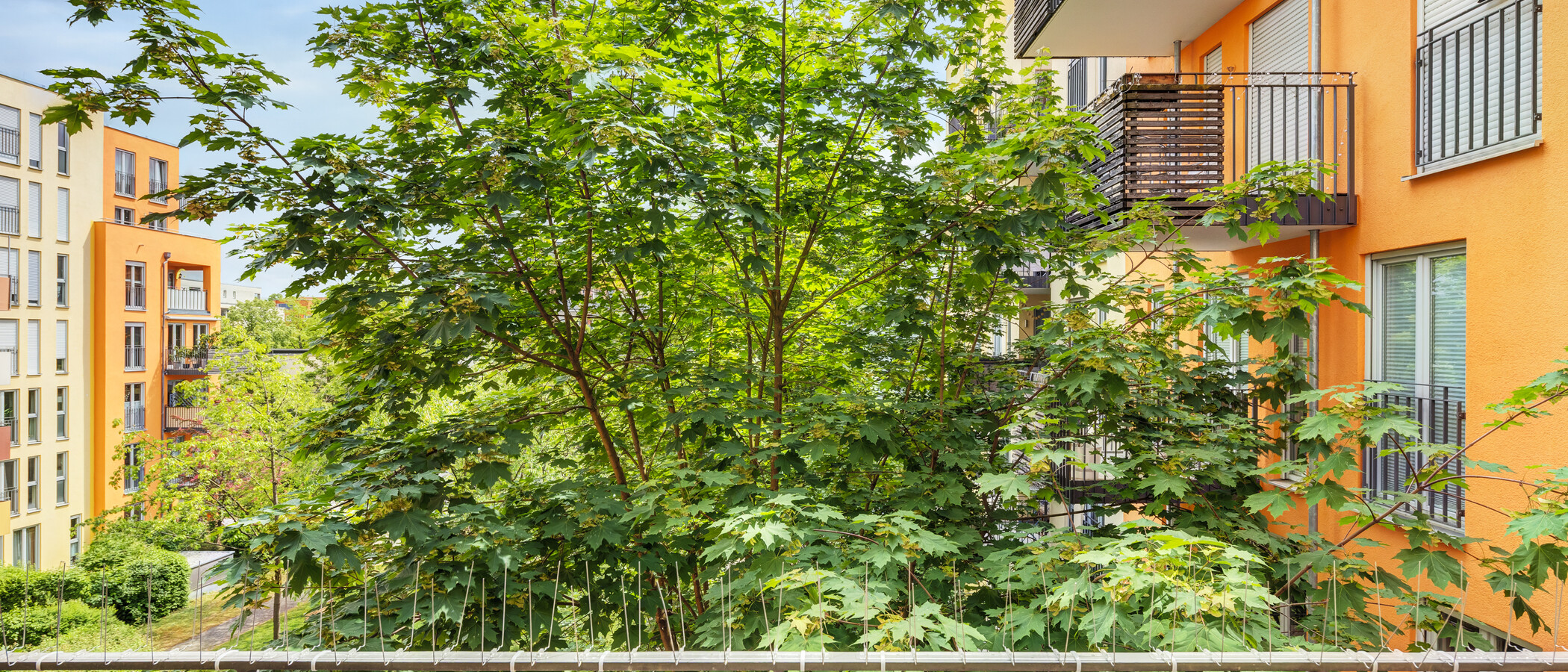 Lapos München Haidhausen 02 A  megtekintése 14860