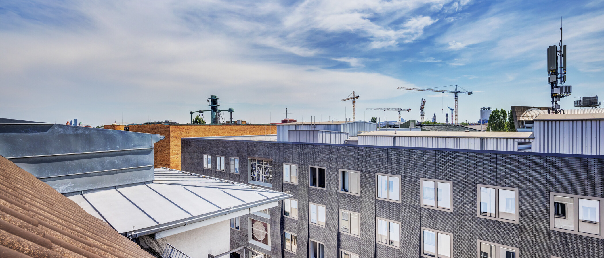 Galerie byt München Maxvorstadt 04 Zobrazit 14890