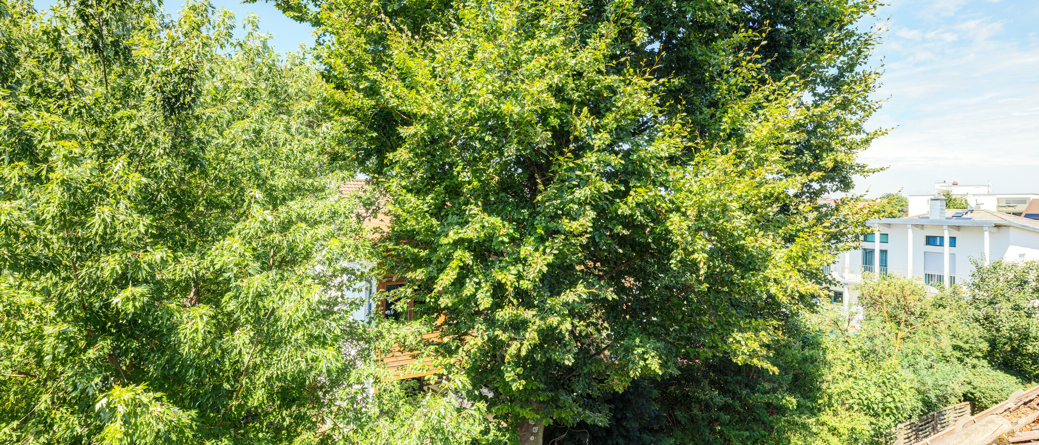 Podkrovní byt Germering 04 Zobrazit 14946