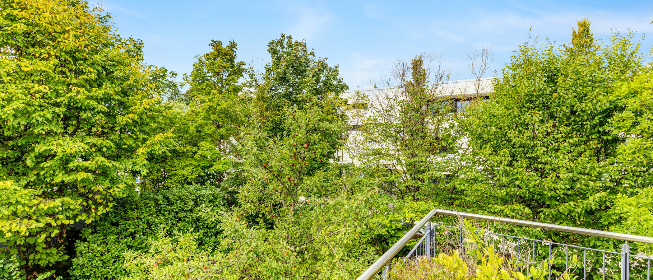 Flat München Solln 02 Utsikt 14998