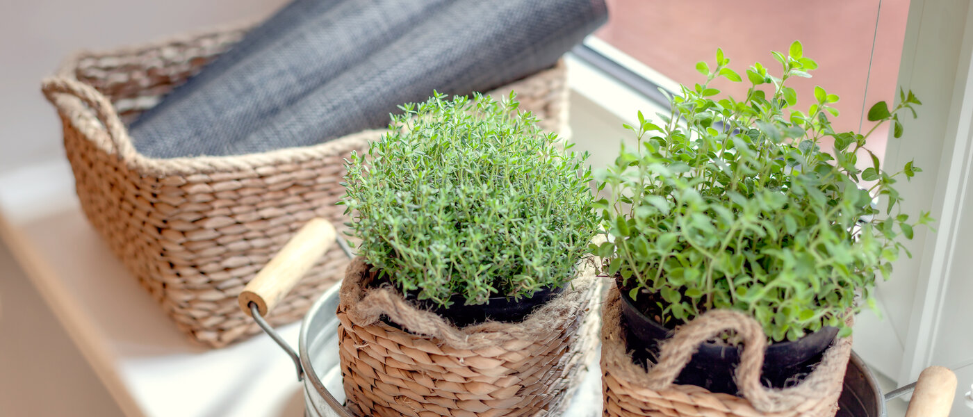 Lapos München Gärtnerplatzviertel 04 Konyha 1590