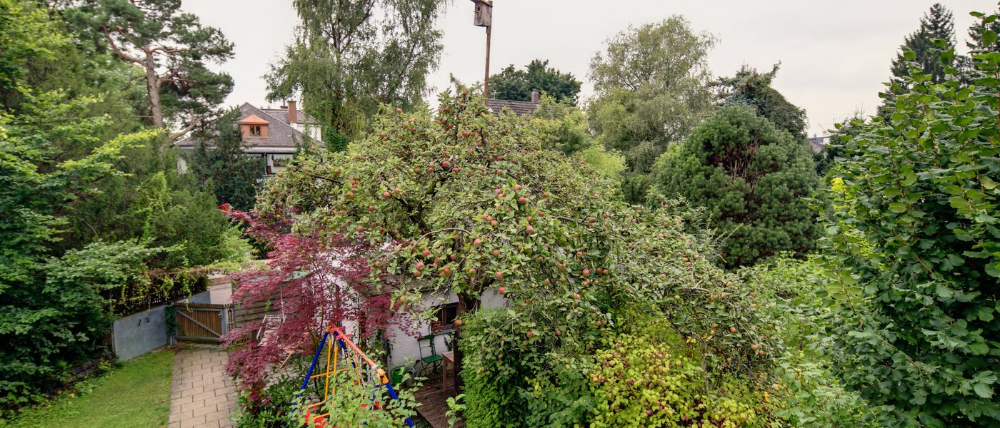 Lapos München Großhadern 02 A  megtekintése 2051