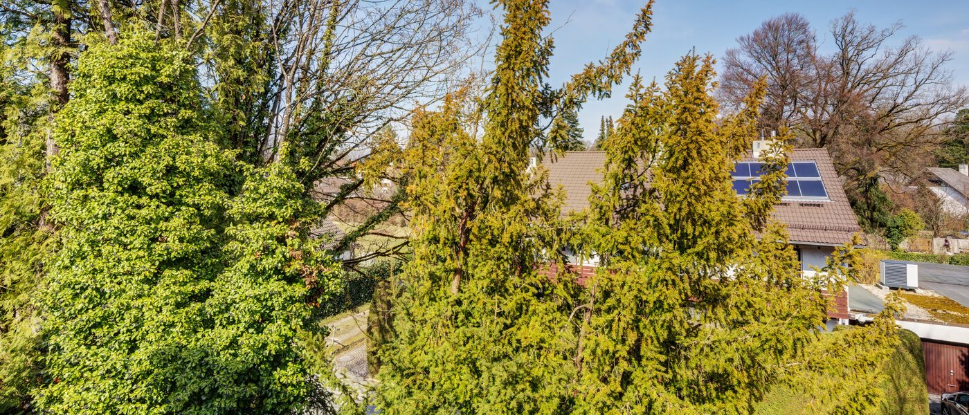 Flad München Solln 03 Udsigt 2378