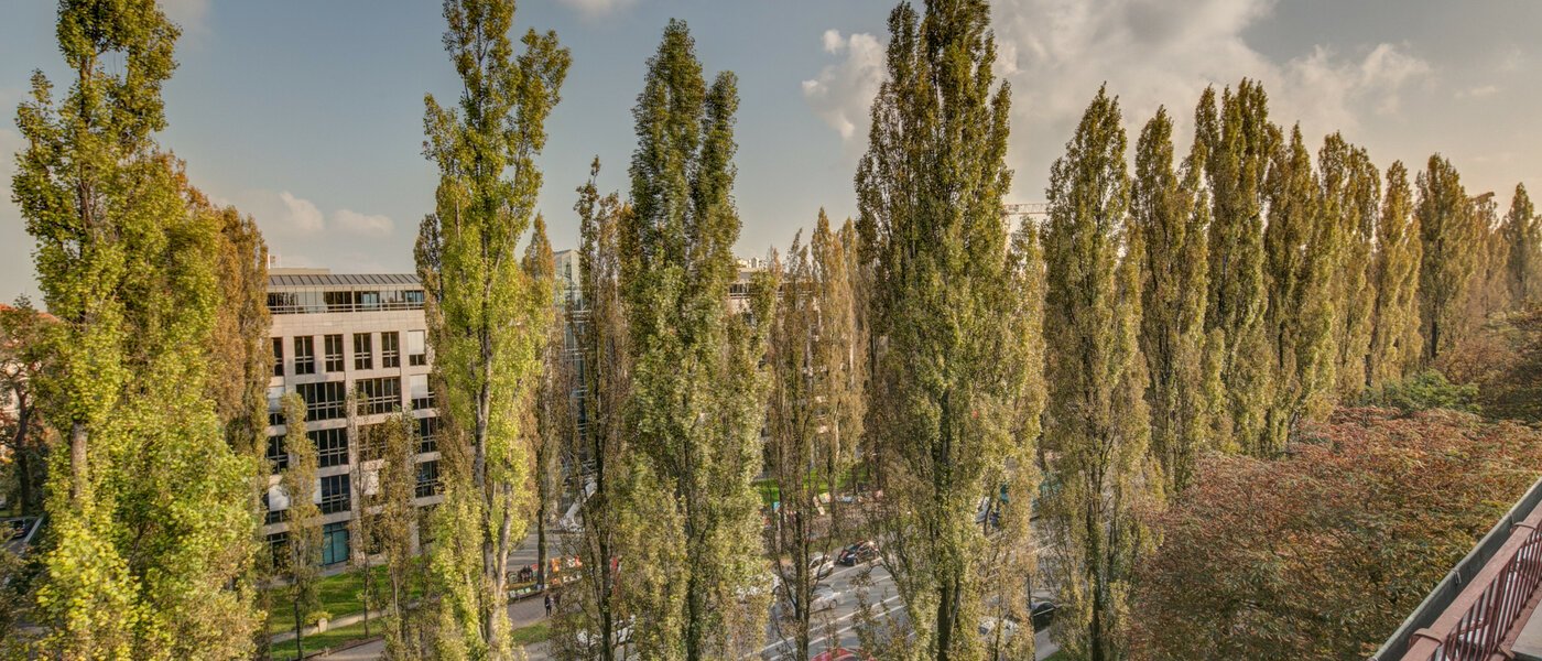 Flad München Schwabing (rechts der Leopoldstraße) 01 Udsigt 2486