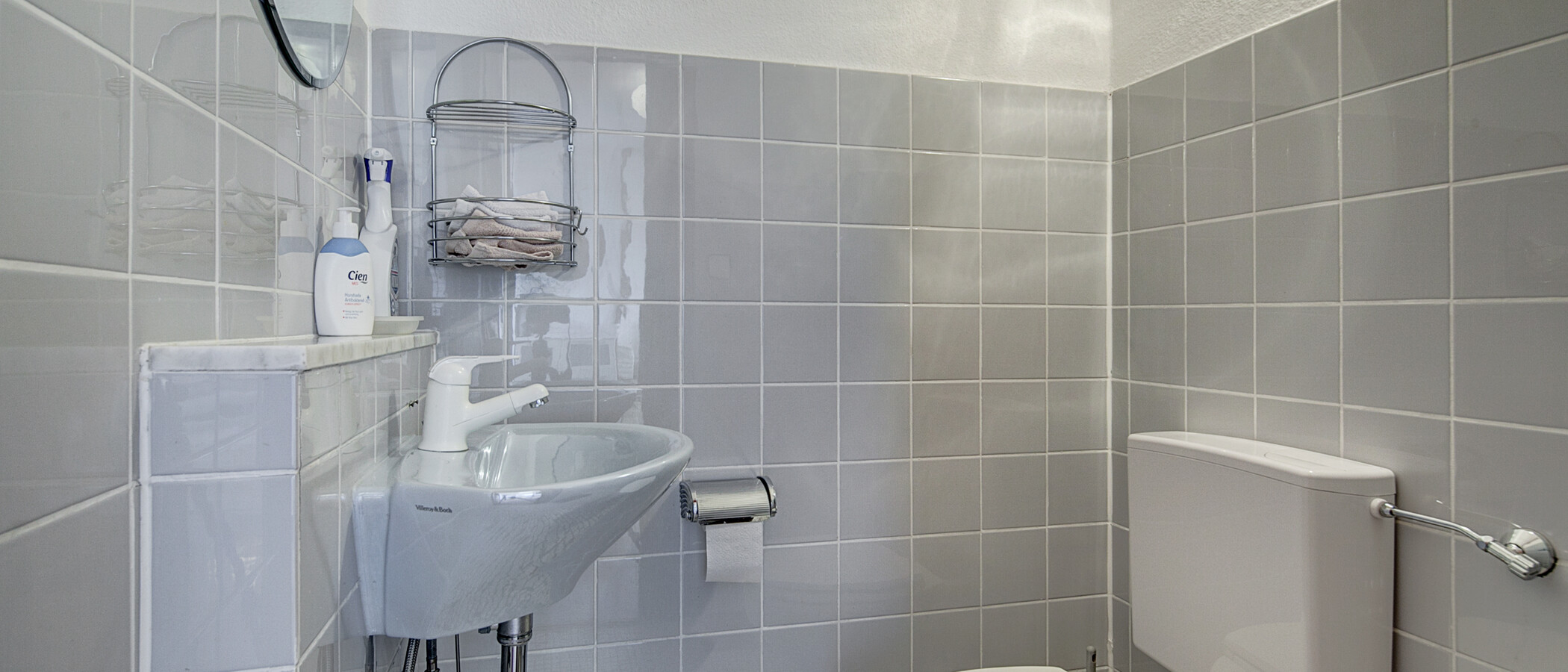 Stanovanje s strešno teraso München Maxvorstadt 01 WC za goste 255