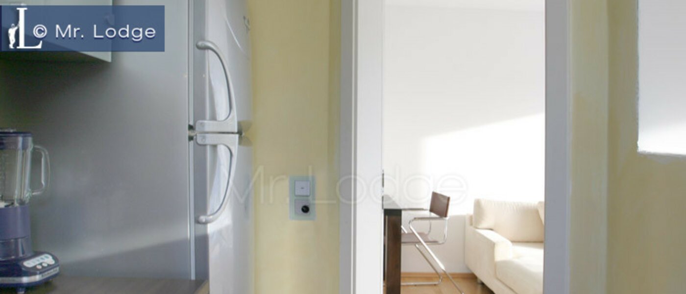 Flad München Trudering 04 Køkken 2988