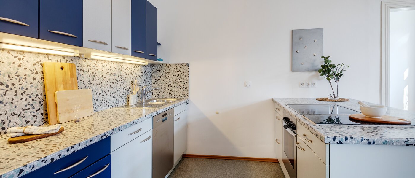 Platt München Haidhausen 03 Kök 308